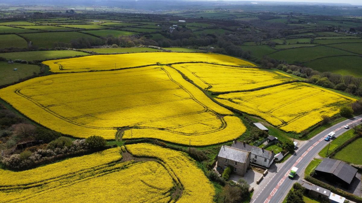 dji_fly_20230424_120832_644_1682334955219_photo_optimized
