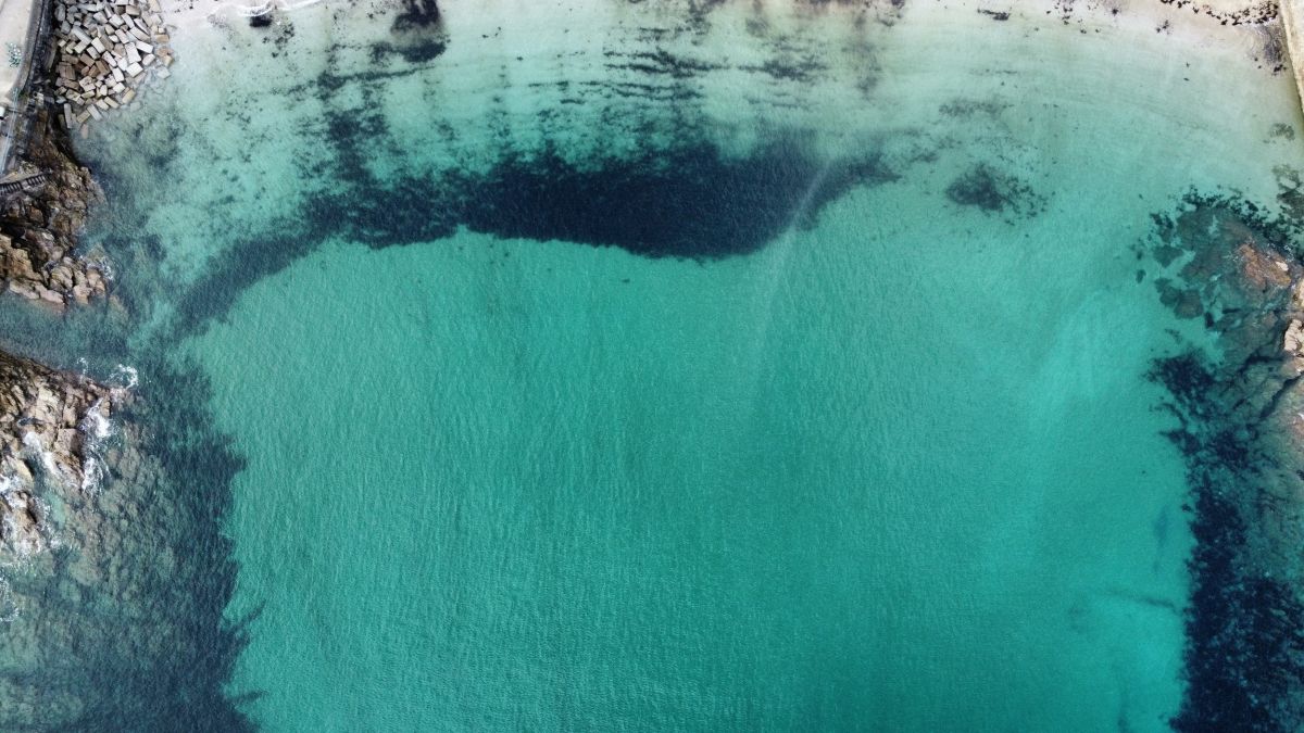 dji_fly_20230219_144846_572_1676818502138_photo_optimized