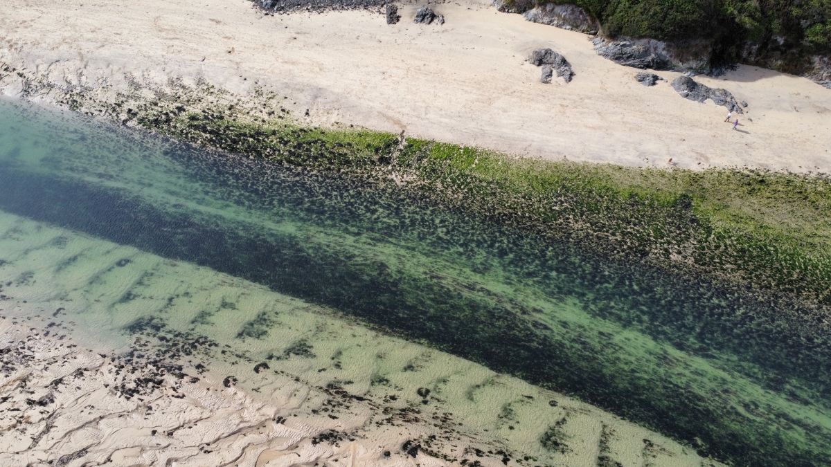 dji_fly_20220925_115602_358_1664116603922_photo_optimized